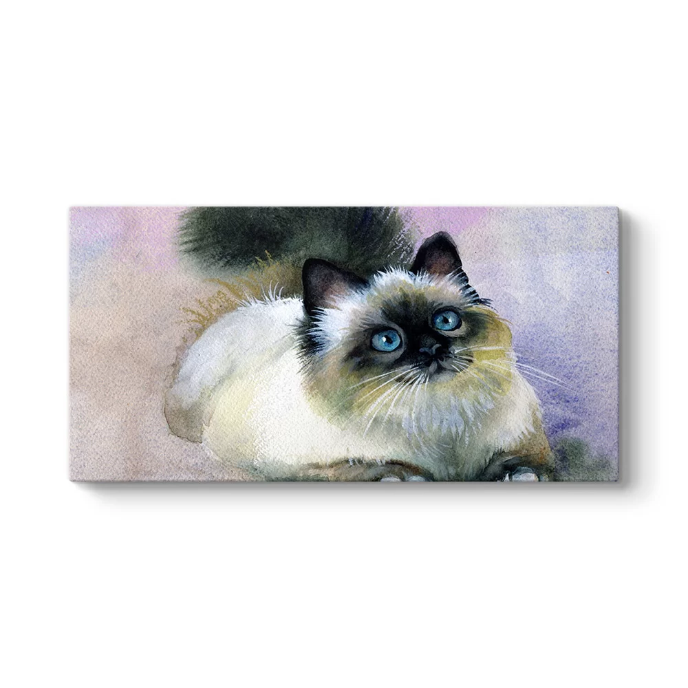 Sulu Boya Kedi Tablosu - Model 5